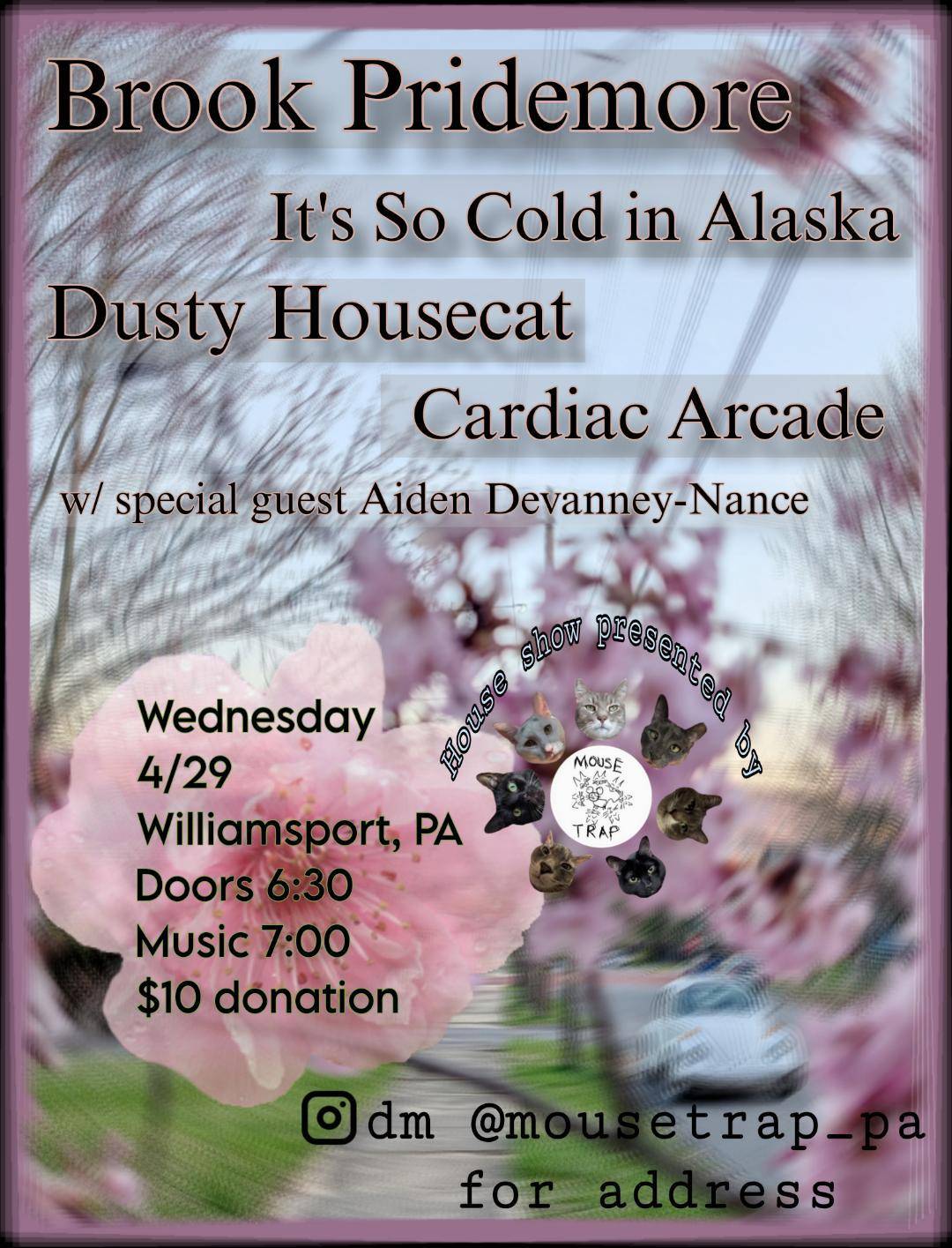 Concert Flyer